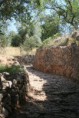 /album/queren%c3%a7a%20%26%20fonte%20benemola%20/activity-algarve-05-jpg2/